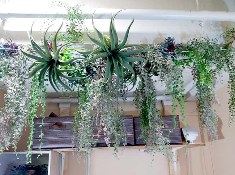 美容サロン 約25万円 5