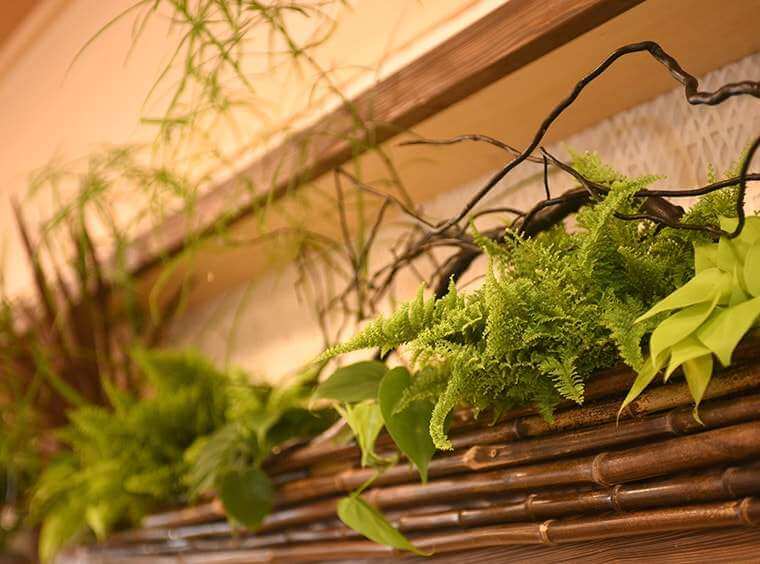 温浴施設 約600万 4